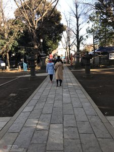 20180111141117_iPhone 7.jpg